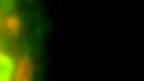 Thumbnail for entry Video 4.1 GFP-VAMP8 trafficking from a late endosome to the cell surface (54-81 sec).